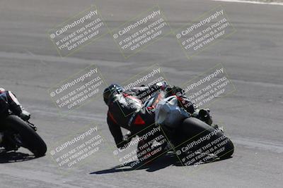 media/Apr-08-2023-SoCal Trackdays (Sat) [[63c9e46bba]]/Bowl Backside (1pm)/